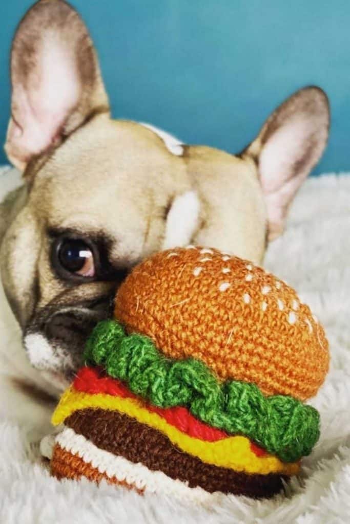 Dogs can really tug at your heartstrings. Unfortunately, they also tug a bit on the planet, too. So, to reduce our foot prints, or rather paw prints, we found some of the most eco friendly dog toys for sustainable pooches.  Image by Ware of the Dog #ecofriendlydogtoys #sustainabledogtoys #sustainablejungle