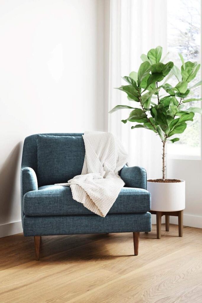 It’s far better for everyone if we kit out our eco-cribs with ethical and sustainable furniture. That’s why we’ve compiled this list Image by Medley #sustainablefurniture #ethicalfurniture #sustainablejungle