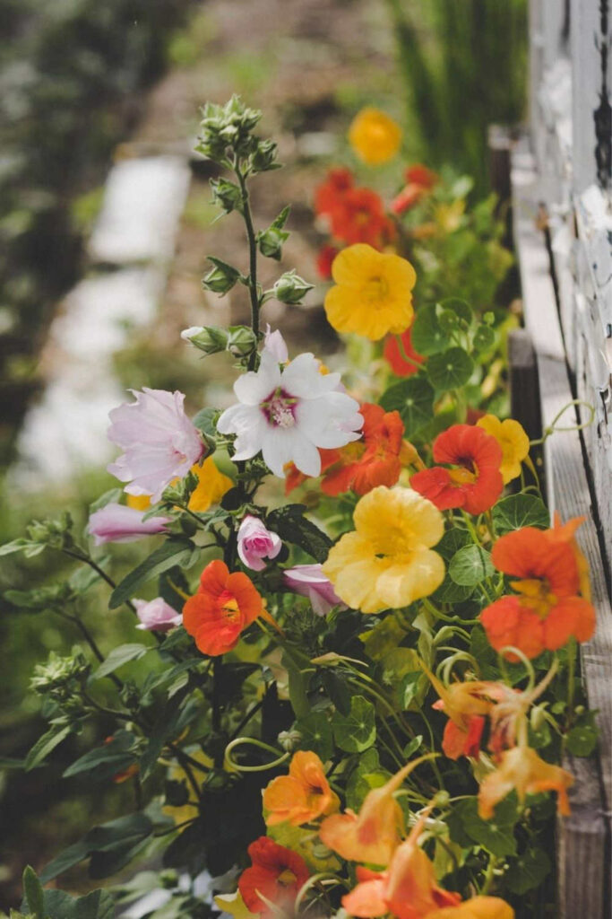 We’re either part of a thriving global ecosystem, or we’re undermining it. It’s time we learn how to increase biodiversity like our life depends on it. Image by Image by Stella de Smit on Unsplash  #howtoincreasebiodiversity #howtoincreasebiodiversityinyourhome #sustainablejungle