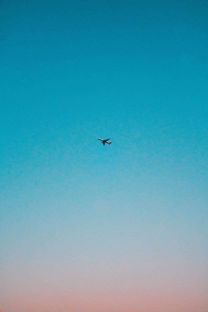 By “your” carbon footprint, we mean “our” carbon footprint, because it’s something we can all work on. In fact,we collectively need to... Photo by Andre Tan on Unsplash #carbonemissions #sustainablejungle