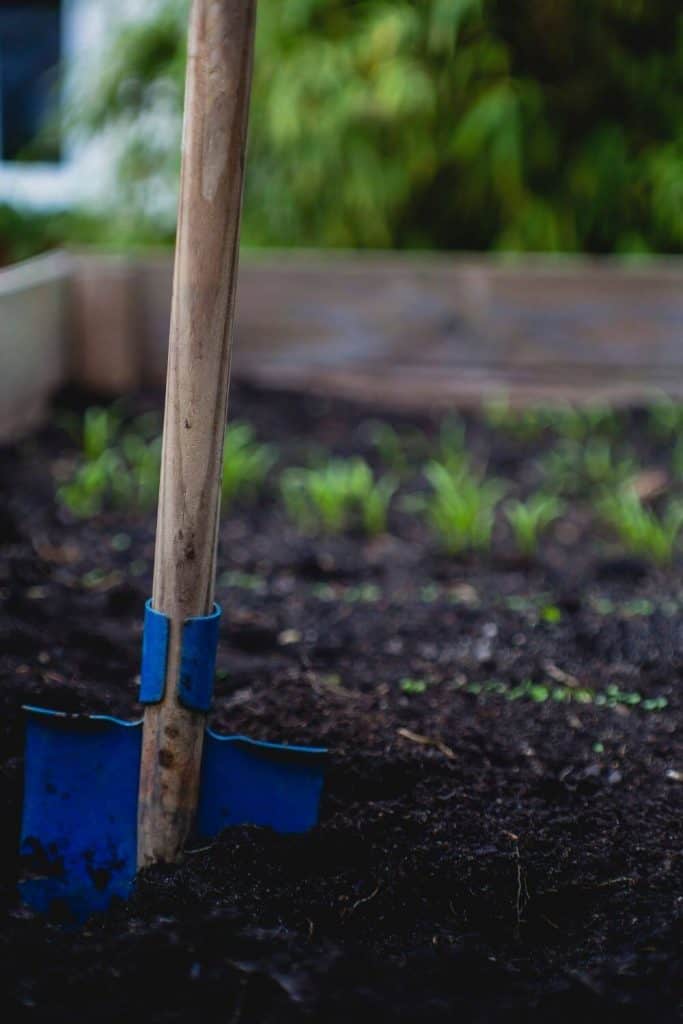 By “your” carbon footprint, we mean “our” carbon footprint, because it’s something we can all work on. In fact,we collectively need to... Photo by Markus Spiske on Unsplash #carbonemissions #sustainablejungle