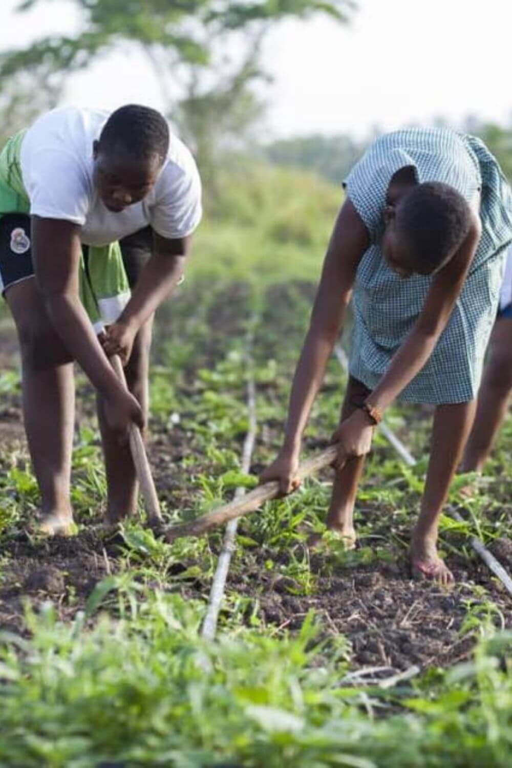 For this list, we’ve gone back through the inspiring annals of The Sustainable Jungle Podcast and rounded up some of our favorite guests… who also happen to be the change-makers behind these growing social impact companies... Image by School Farms #socialimpactcompanies #sustainablejungle