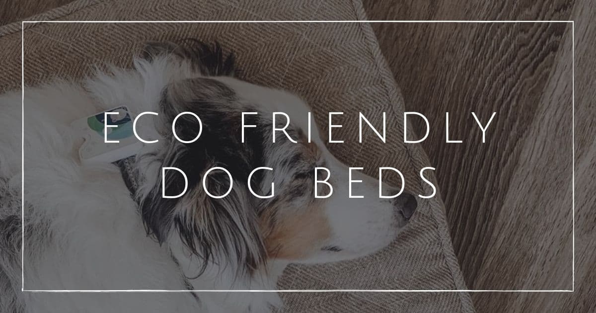 7 Doggone Sustainable & Eco Friendly Dog Beds
