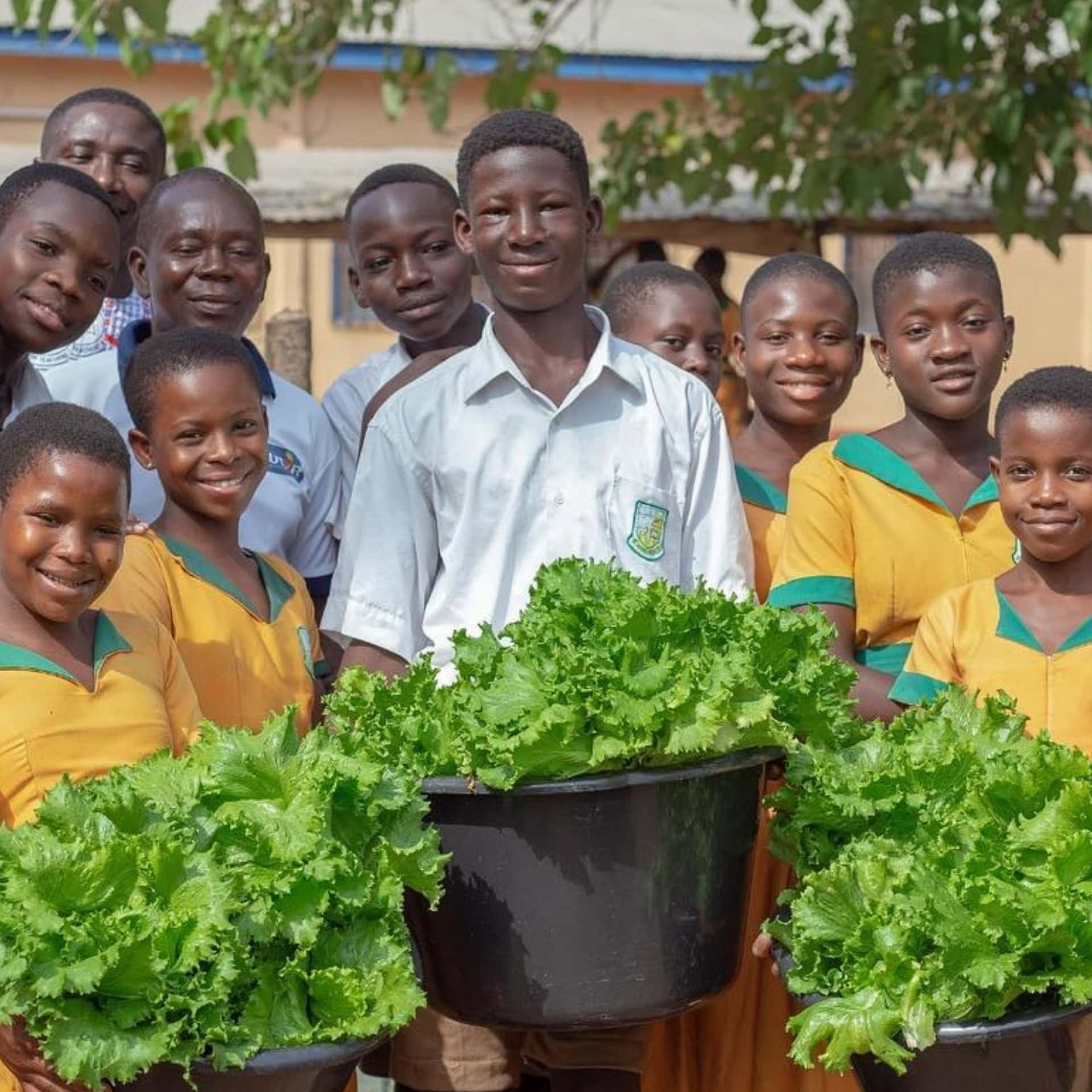 Image by School Farms (social-impact-companies)