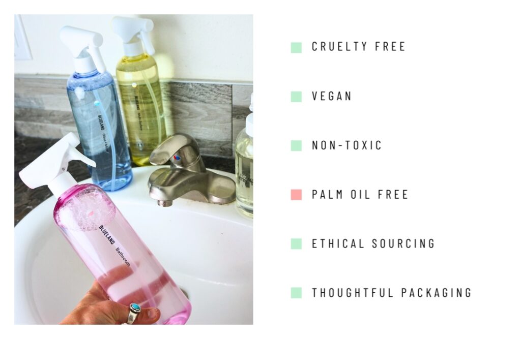 Eco-Conscious Cleaning Products For More Sustainable Cleaning