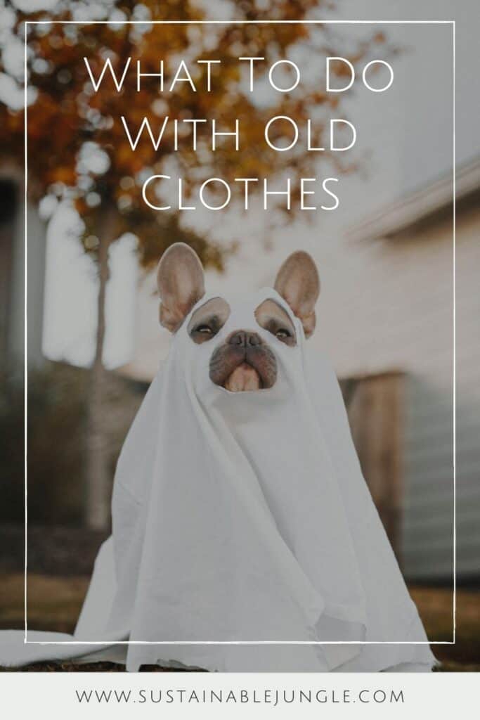 In need of a closet purge? Tired of a worn-out wardrobe? At some point, we’re faced with the question of what to do with old clothes. Image by Annie Spratt on Unsplash #whattodowitholdclothes #sustainablejungle