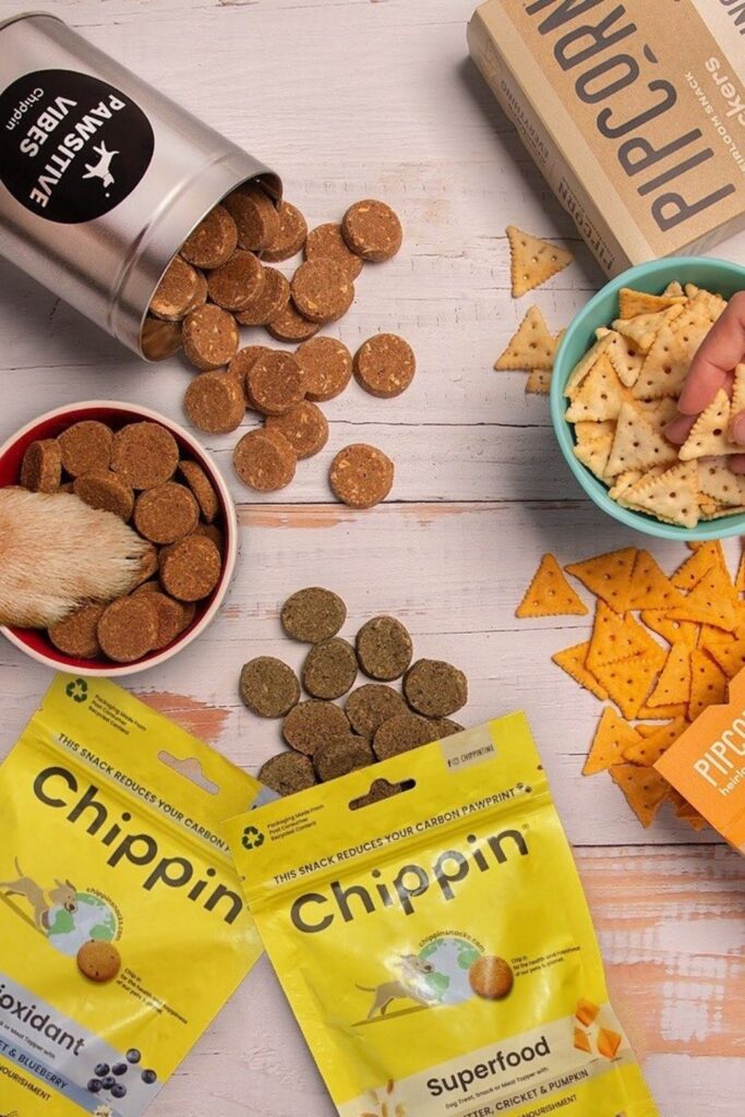 Attention all conscious pet owners: you can help change the world, one sustainable kibble at a time with these eco friendly pet food options. Image by Chippin #ecofriendlypetfood #sustainablepetfood #sustainablejungle