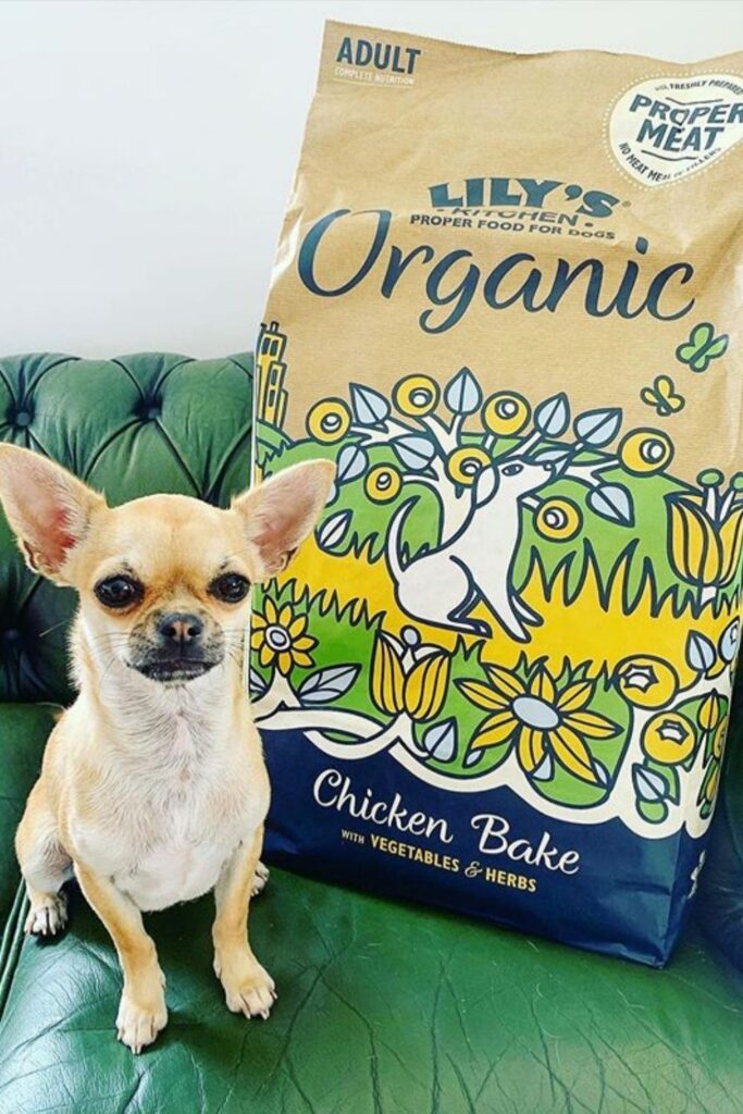 Attention all conscious pet owners: you can help change the world, one sustainable kibble at a time with these eco friendly pet food options. Image by Lily's Kitchen #ecofriendlypetfood #sustainablepetfood #sustainablejungle