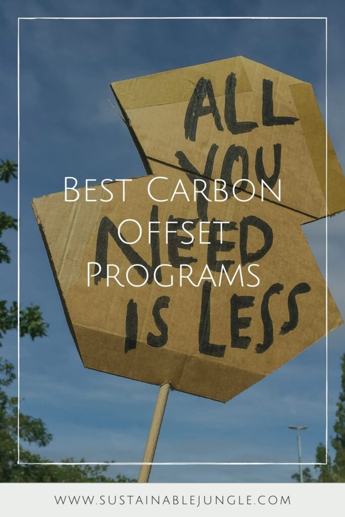 We’ve taken a deep dive into the world of offsets, uncovering the best carbon offset providers that will legitimately reduce your footprint. Photo by Etienne Girardet on Unsplash #bestcarbonoffsetprograms #bestcarbonoffsetproviders #sustainablejungle