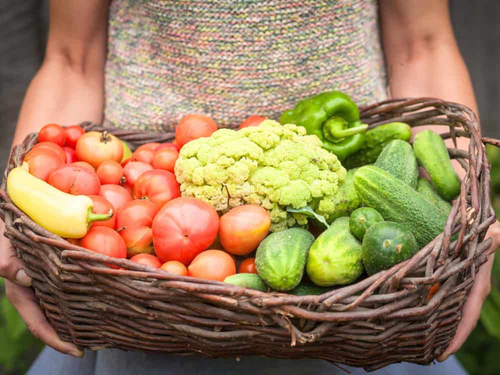 How To Store Produce: Fighting Food Waste With Fresh Fruits & Vegetables Image by Vitalij Sova #howtostoreproduce #howtoproperlystoreproduce #howtokeepproducefresh #howtokeepfruitfresh #makeproducelastlonger #sustainablejungle