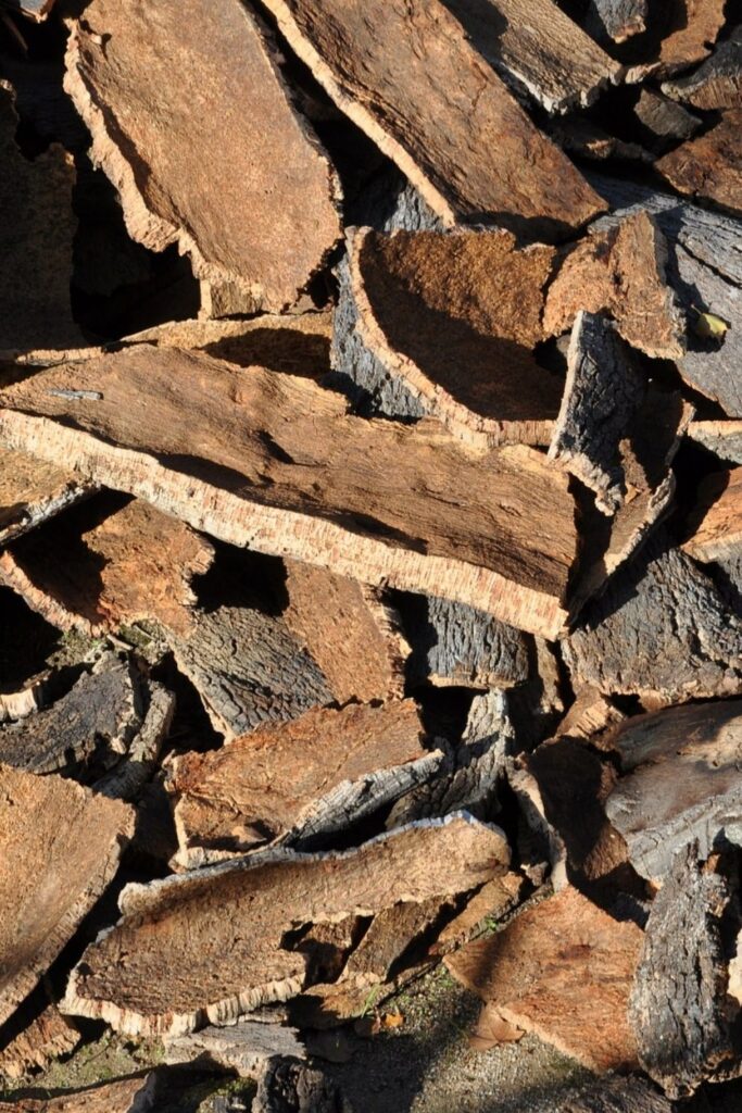 What is cork fabric? Now we’re turning to trees, some of our favorite textile producers, to explore cork and its sustainable merit Image by maja7777 from Pixabay #whatiscorkfabric #sustainablejungle