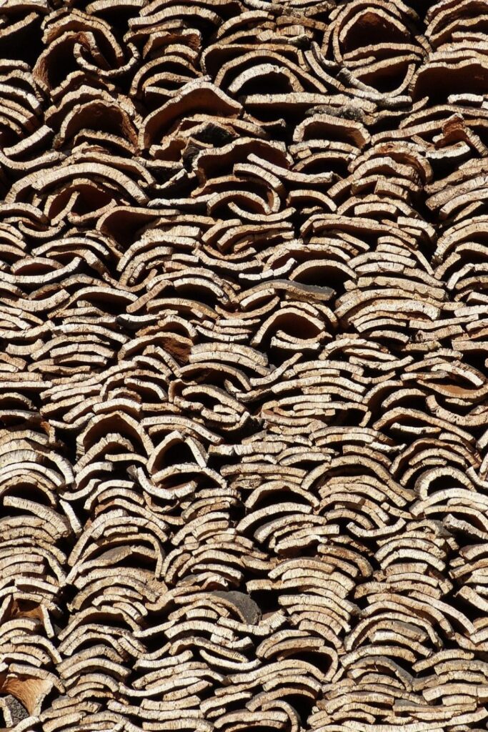What is cork fabric? Now we’re turning to trees, some of our favorite textile producers, to explore cork and its sustainable merit Photo by Pablò on Unsplash #whatiscorkfabric #sustainablejungle