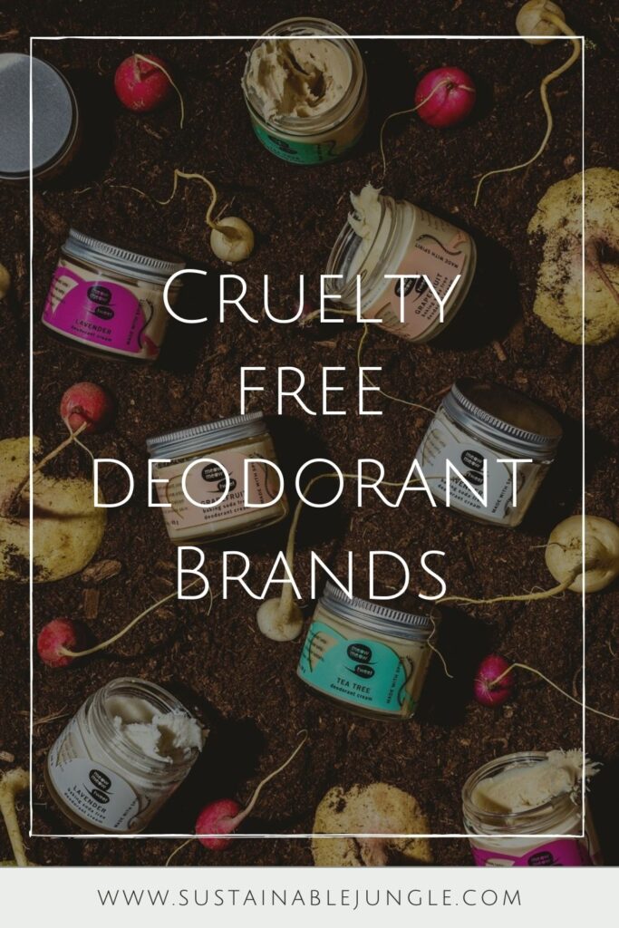 Want cruelty free deodorant that’s good for you, better for our planet, and better for all beings on Earth? No sweat! Image by Meow Meow Tweet #crueltyfreedeodorant #sustainablejungle