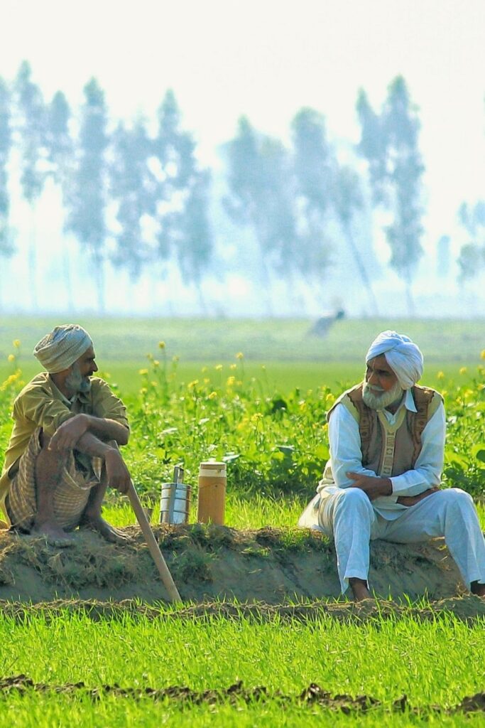 You’re probably wondering, what is regenerative agriculture? The short answer is that it’s a way to produce food and fibers by working with nature. Image by Darpan Sharma on Unsplash #regenerativeagriculture #sustainablefashion #sustainablejungle