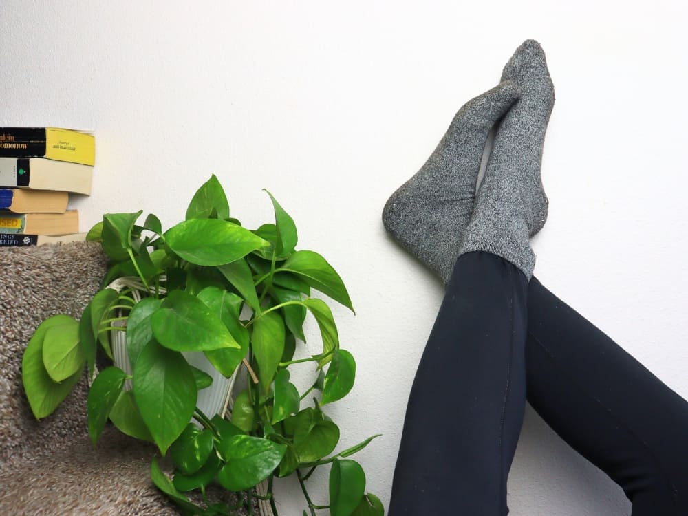 What To Do With Old Socks To Be Toe-tally Sustainable Image by Sustainable Jungle #whattodowitholdsocks #usesforoldsocks #recyclingoldsocks #howtorecycleoldsocks #reuseoldsocks #whattodowithholeysocks #sustainablejungle