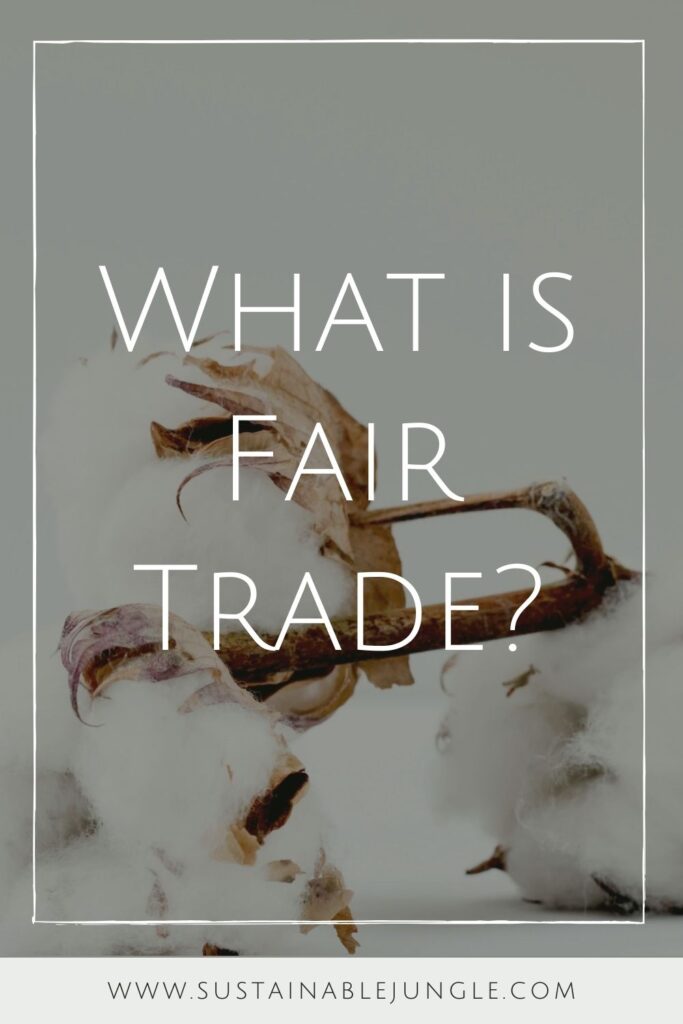 There’s a lot to unpack when it comes to fair trade—both good and not-so-good. So... what is fair trade? Photo by Marianne Krohn on Unsplash #whatisfairtrade #sustainablejungle