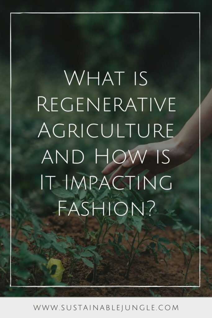 You’re probably wondering, what is regenerative agriculture? The short answer is that it’s a way to produce food and fibers by working with nature. Image by Lawrence Aritao on Unsplash #regenerativeagriculture #sustainablefashion