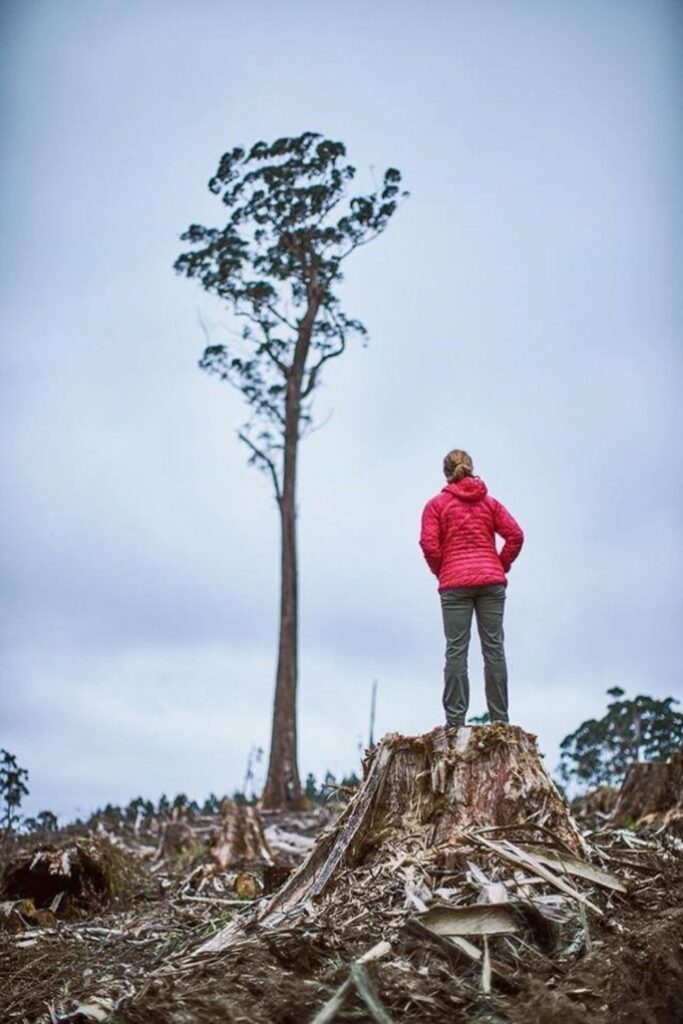 We’re not advocating you go on a shopping spree here. The most sustainable products are those you already own. However, if you do need something new, consider buying from one of these companies that give back. Image by Patagonia #brandsthatgiveback #brandsthatgivebackwithpurchase #clothingbrandsthatgiveback #fashionbrandsthatgiveback #brandsthatgivebacktocharity