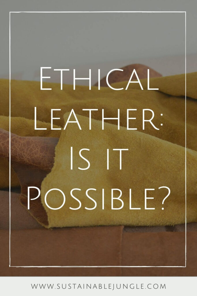 Holy cow, is there a lot to unpack when it comes to the question of ethical leather! It first requires us to decide whether ethical leather products are even possible. Photo by Ranurte on Unsplash #ethicalleather #sustainablejungle