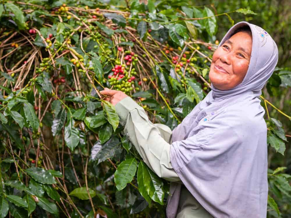 What Is Fair Trade? Image by Fair Trade USA #whatisfairtrade #whatdoesfairtrademean #fairtradecertified #fairtradedefinition #fairtradeethids #fairtradecertifiedmeaning #sustainablejungle
