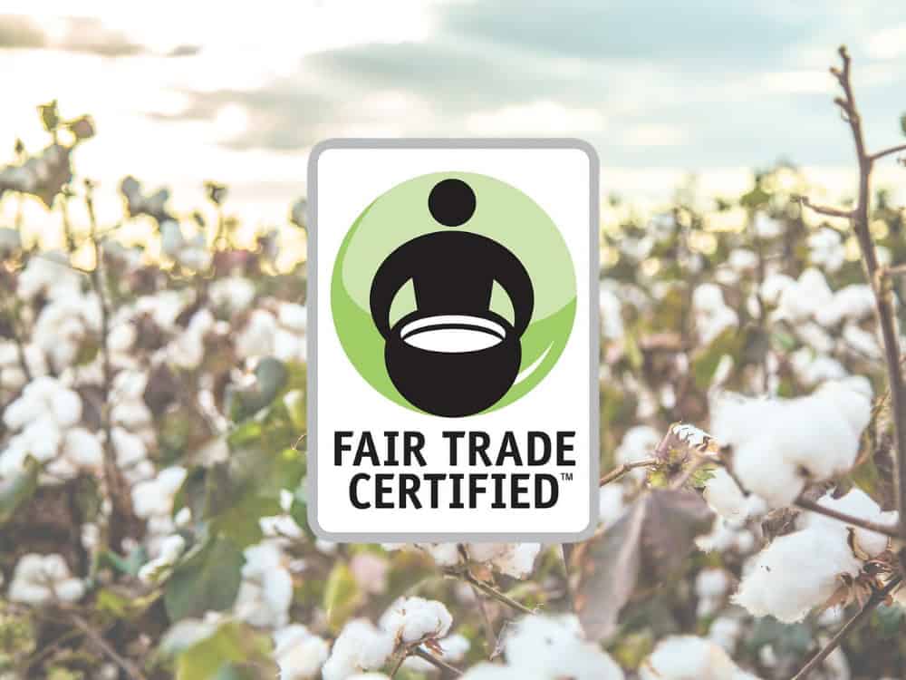 What Is Fair Trade? Image by Mailson Pignata #whatisfairtrade #whatdoesfairtrademean #fairtradecertified #fairtradedefinition #fairtradeethids #fairtradecertifiedmeaning #sustainablejungle