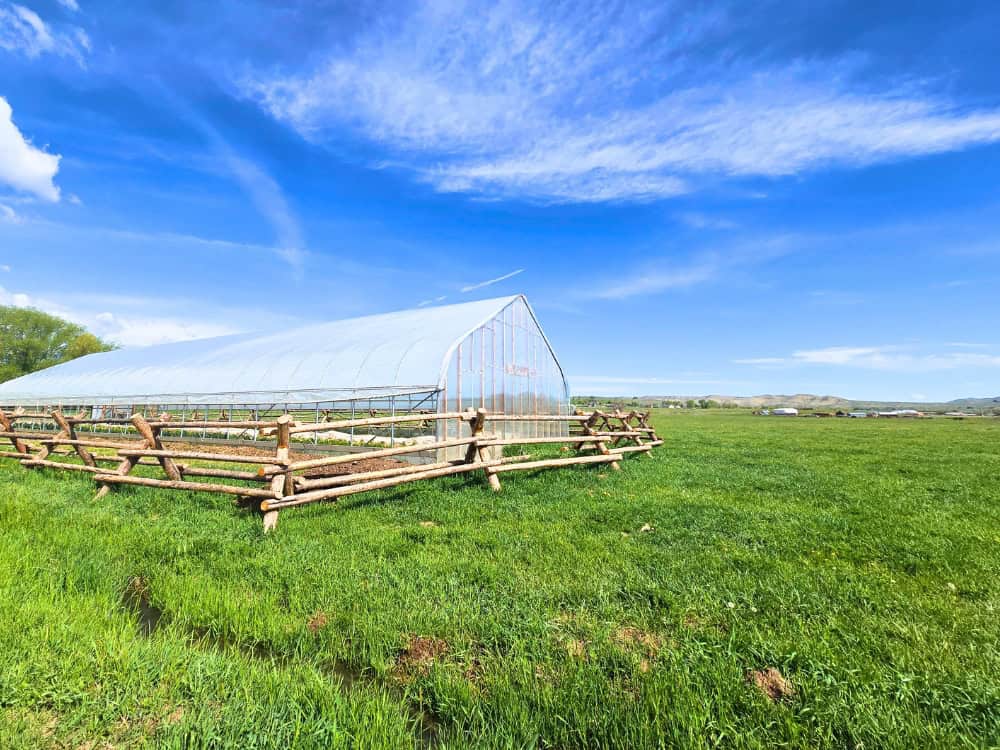 What Is Regenerative Agriculture?: From Farms To Sustainable Fashion Image by Sustainable Jungle #regenerativeagriculture #whatisregenerativeagriculture #regenerativefarming #soilregeneration #whatisregenerativefarming #sustainablejungle