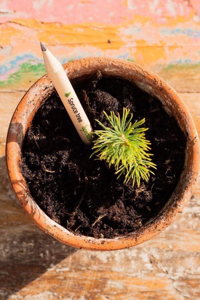 The pen is mightier than the sword. But not every pen is made equal. Which is why we should all choose eco friendly pens for the most sustainable scribbles... Image by Sprout Pencils #ecofriendlypens #ecofriendlypensandpencils #bestecofriendlypens #reusablepens #sustainablepens #plasticfreepens