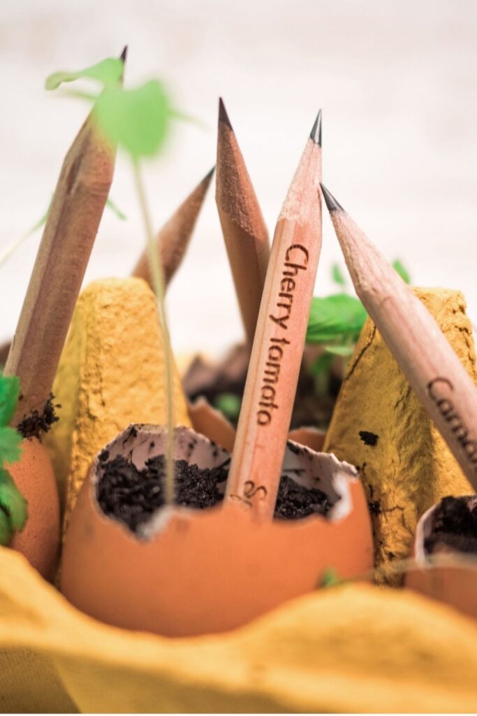 The pen is mightier than the sword. But not every pen is made equal. Which is why we should all choose eco friendly pens for the most sustainable scribbles... Image by Sprout Pencils #ecofriendlypens #ecofriendlypensandpencils #bestecofriendlypens #reusablepens #sustainablepens #plasticfreepens