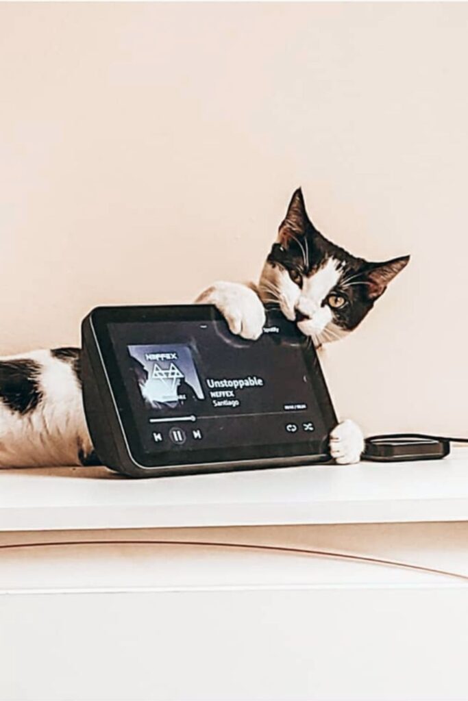 Unlike fashion, finding solutions to the environmental and ethical issues in the technology industry hasn’t been as, well, fashionable. So, what can we do as a consumer looking for ethical electronics? Image by Amazon #ethicalelectronics #ecofriendlyelectronics #sustainablejungle