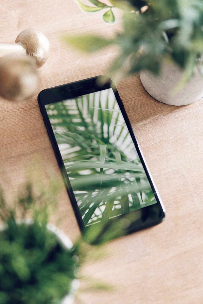 Unlike fashion, finding solutions to the environmental and ethical issues in the technology industry hasn’t been as, well, fashionable. So, what can we do as a consumer looking for ethical electronics? Image by Gazelle #ethicalelectronics #ecofriendlyelectronics #sustainablejungle