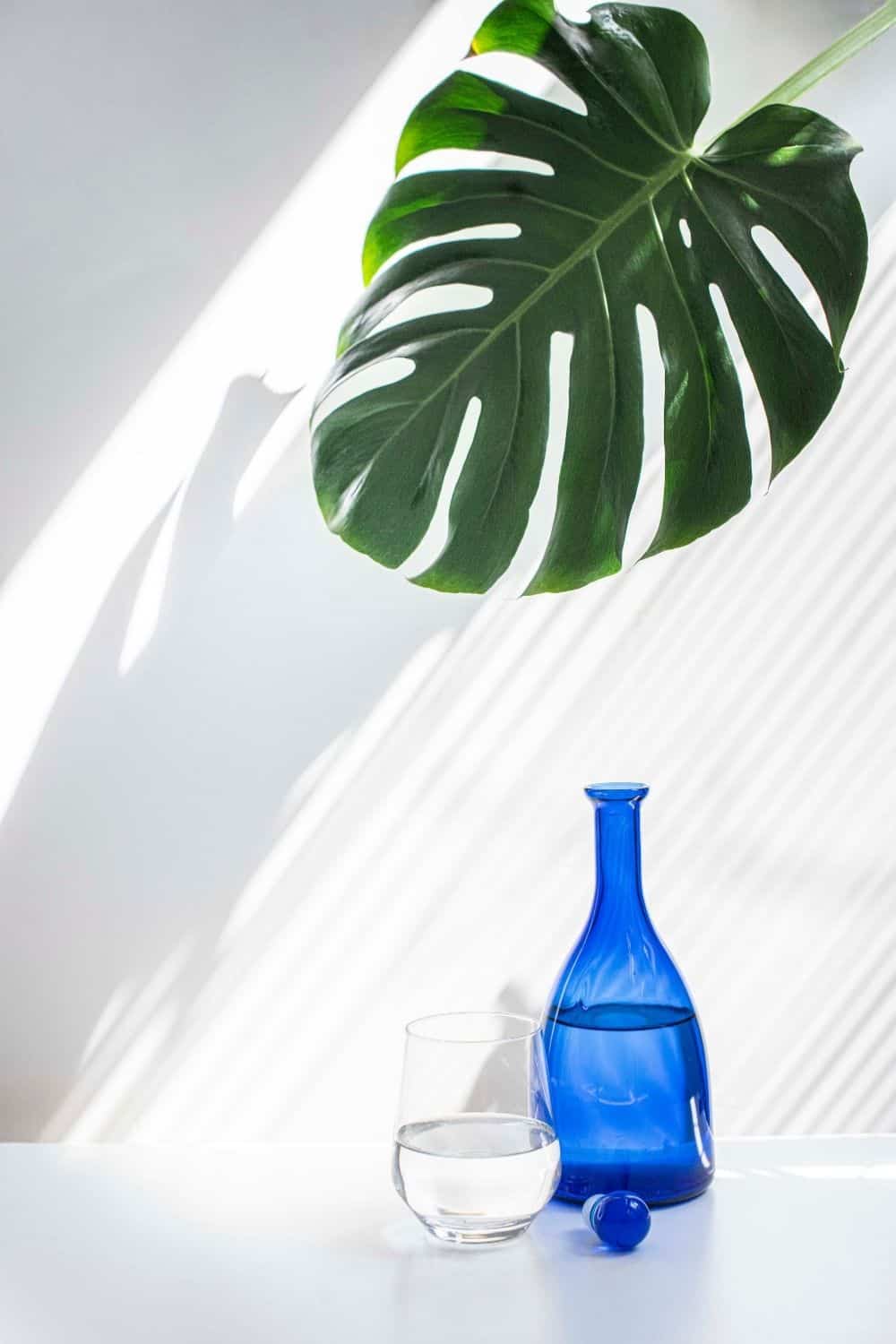 Glass Vs Plastic What Is Safer And More Eco Friendly 