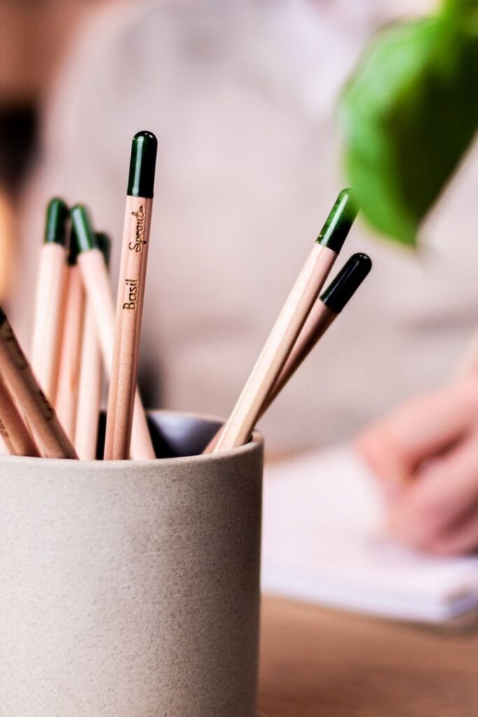 Future generations deserve to enjoy all that we have, so let’s talk about some of the best zero waste products. Image by Sproutworld #zerowasteproducts #sustainablejungle
