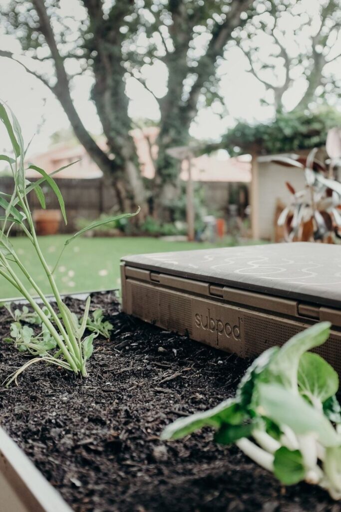 Future generations deserve to enjoy all that we have, so let’s talk about some of the best zero waste products. Image by Subpod #zerowasteproducts #sustainablejungle