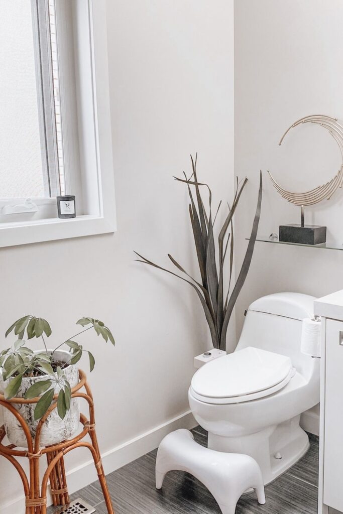 Future generations deserve to enjoy all that we have, so let’s talk about some of the best zero waste products. Image by Tushy #zerowasteproducts #sustainablejungle