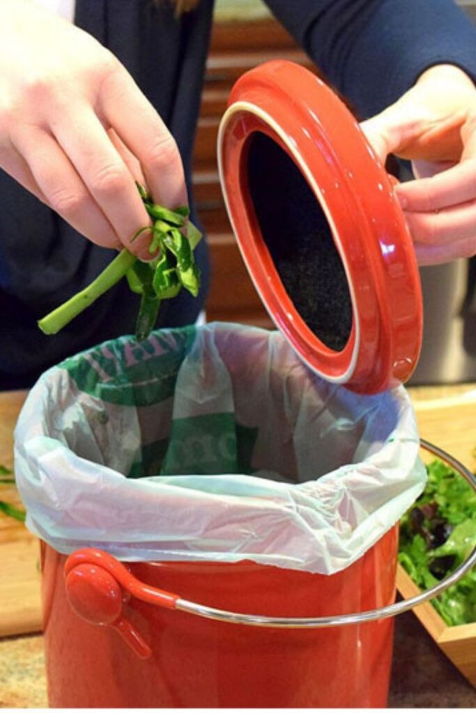 You don’t need 5.5 acres or an intricate outdoor composting setup to get in on the composting game. With the availability of various indoor compost bins, anyone anywhere can responsibly transform their food scraps and reduce their footprint. Image by Natural Home Brands #indoorcompostbins #sustainablejungle