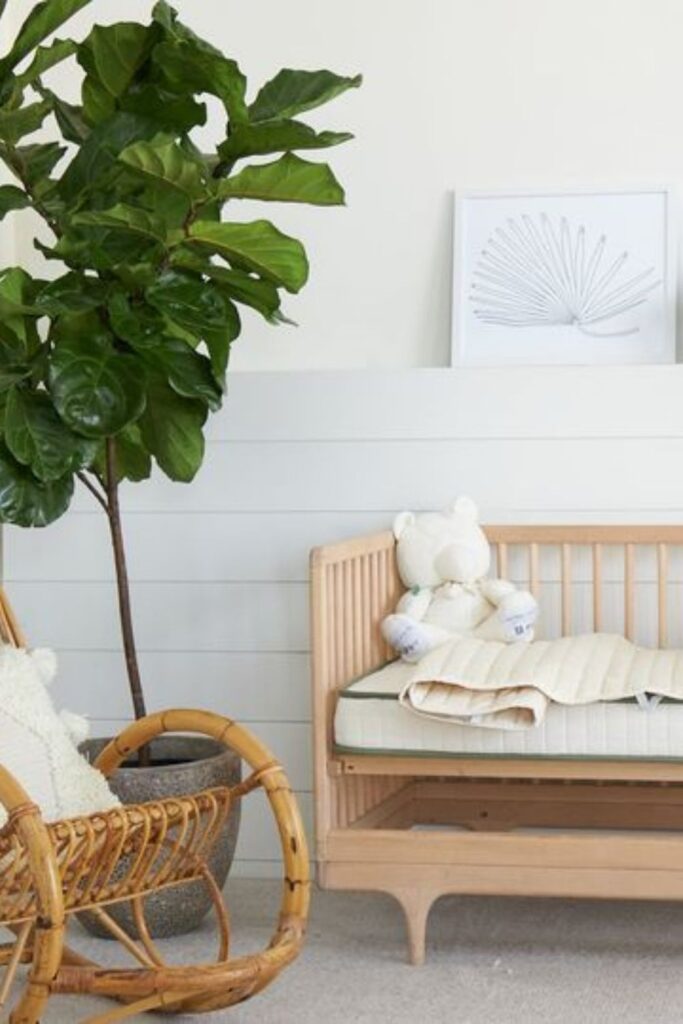If you’ve been spending some of your ~40 weeks searching for organic baby products, we hope you didn’t forget about the crib. But if you did, we’re here to help by uncovering some of the best eco friendly crib brands to help baby (and you) get a good night (or hour, at least) of sleep. Image by Avocado Green Brands #ecofriendlycribs #nontoxiccribs #sustainablejungle