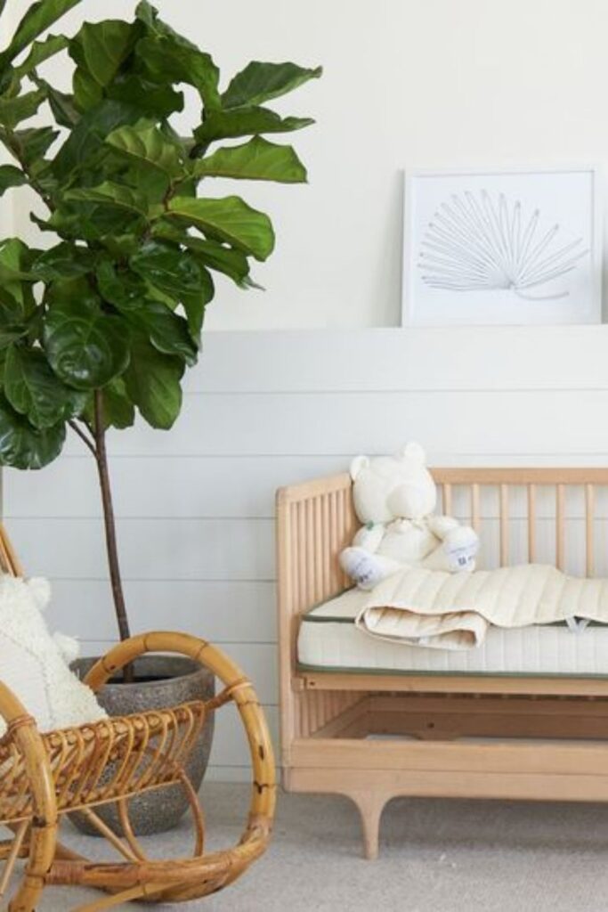 7 Non Toxic & Eco Friendly Cribs for Lullabies
