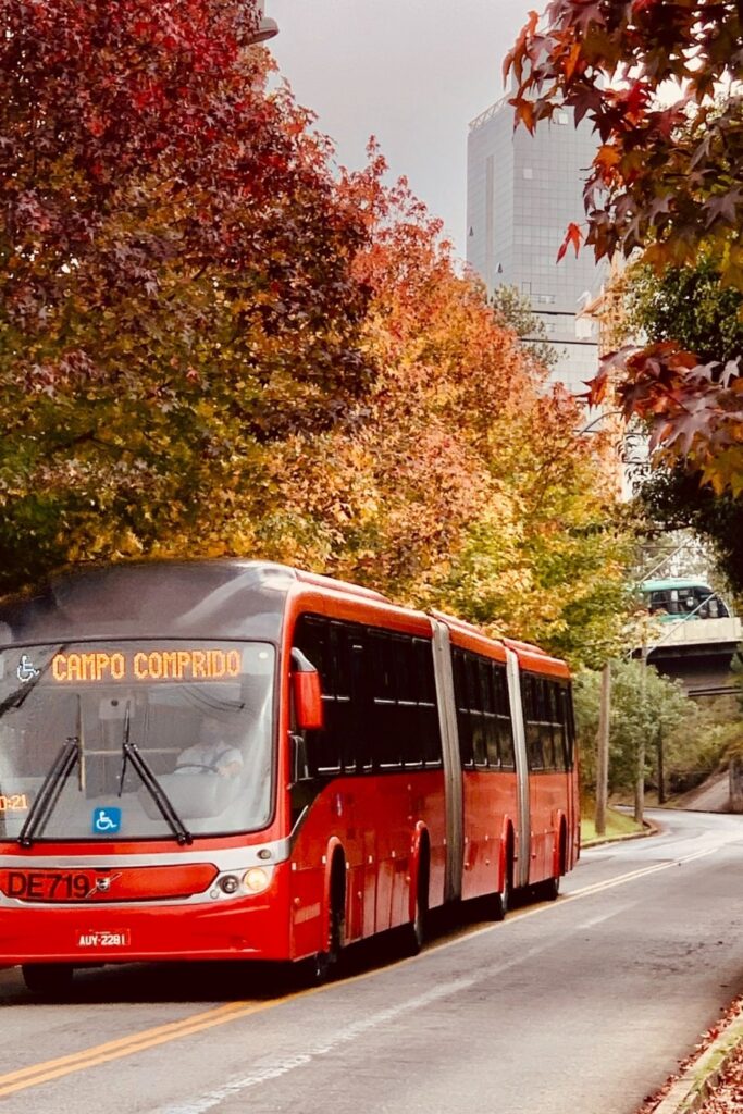 Ladies and gentlemen, welcome onboard. We ask that you please fasten your seatbelts, power down all (ethical electronic) devices, and we take off to explore the 15 greenest cities in the world. Photo by 3Três Consultoria e Criação on Unsplash #greenestcitiesintheworld #sustainablejungle