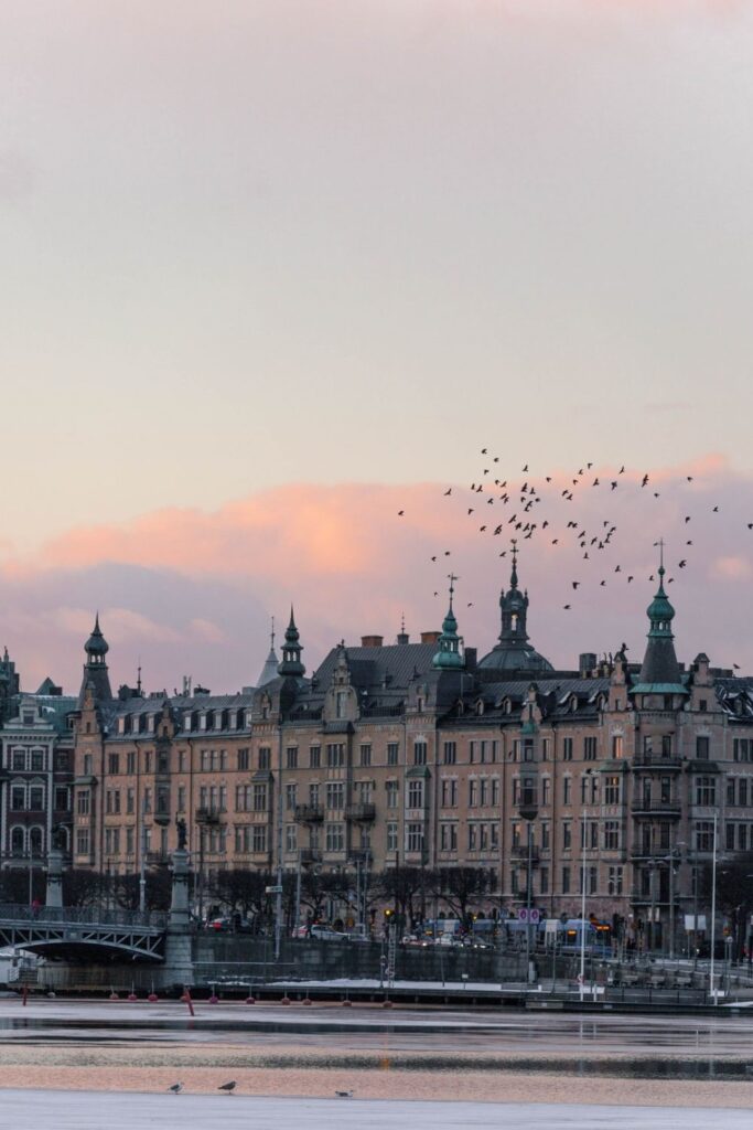 Ladies and gentlemen, welcome onboard. We ask that you please fasten your seatbelts, power down all (ethical electronic) devices, and we take off to explore the 15 greenest cities in the world. Photo by Marten Bjork on Unsplash #greenestcitiesintheworld #sustainablejungle