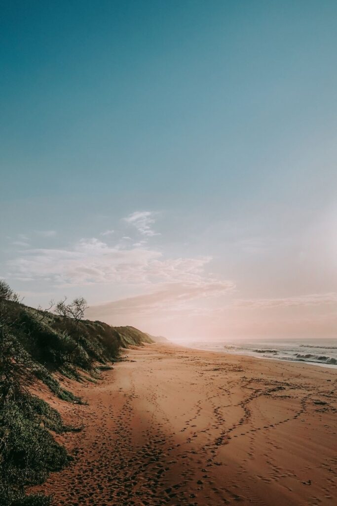 Ladies and gentlemen, welcome onboard. We ask that you please fasten your seatbelts, power down all (ethical electronic) devices, and we take off to explore the 15 greenest cities in the world. Photo by kylefromthenorth on Unsplash #greenestcitiesintheworld #sustainablejungle