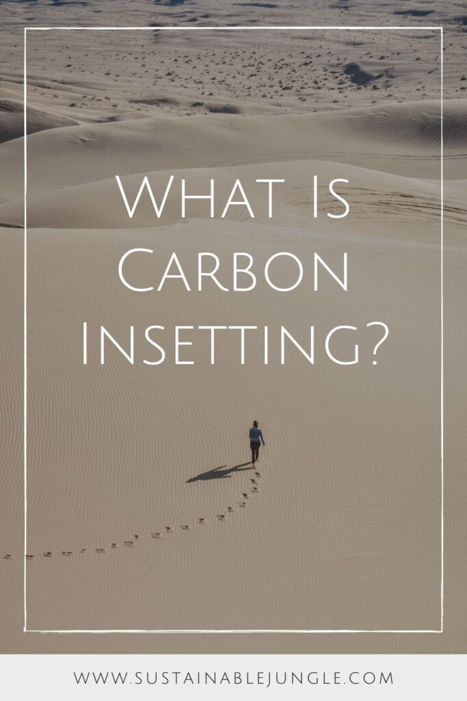 If you take steps to reduce your carbon footprint, you have definitely heard of carbon offsetting - but what is carbon insetting? Image by Chris Montgomery via Unsplash #insetting #insettingvsoffsetting #sustainablejungle
