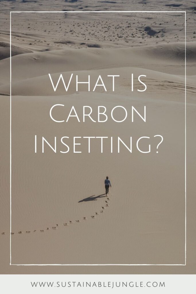 If you take steps to reduce your carbon footprint, you have definitely heard of carbon offsetting - but what is carbon insetting? Image by Chris Montgomery via Unsplash #insetting #insettingvsoffsetting #sustainablejungle