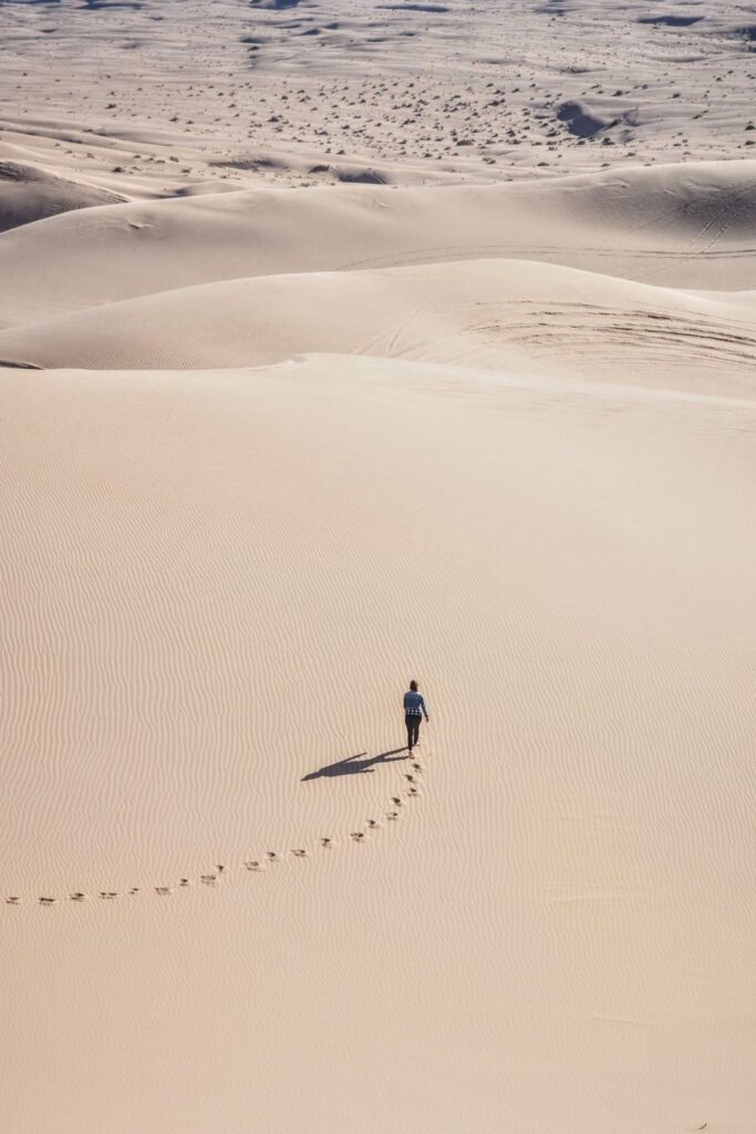 If you take steps to reduce your carbon footprint, you have definitely heard of carbon offsetting - but what is carbon insetting? Image by Chris Montgomery via Unsplash #insetting #insettingvsoffsetting #sustainablejungle