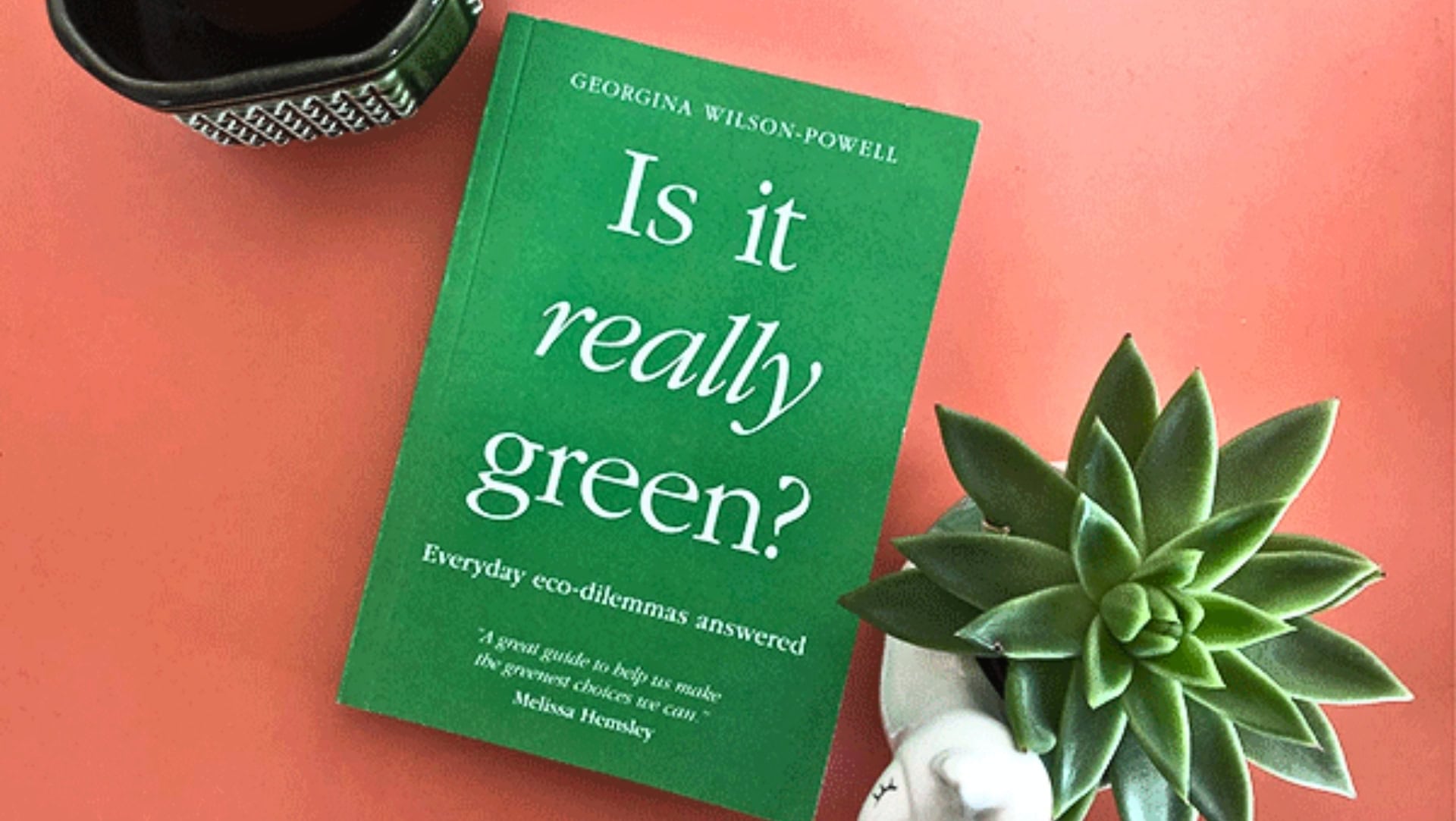 Image by Is It Really Green_ (sustainability-books)