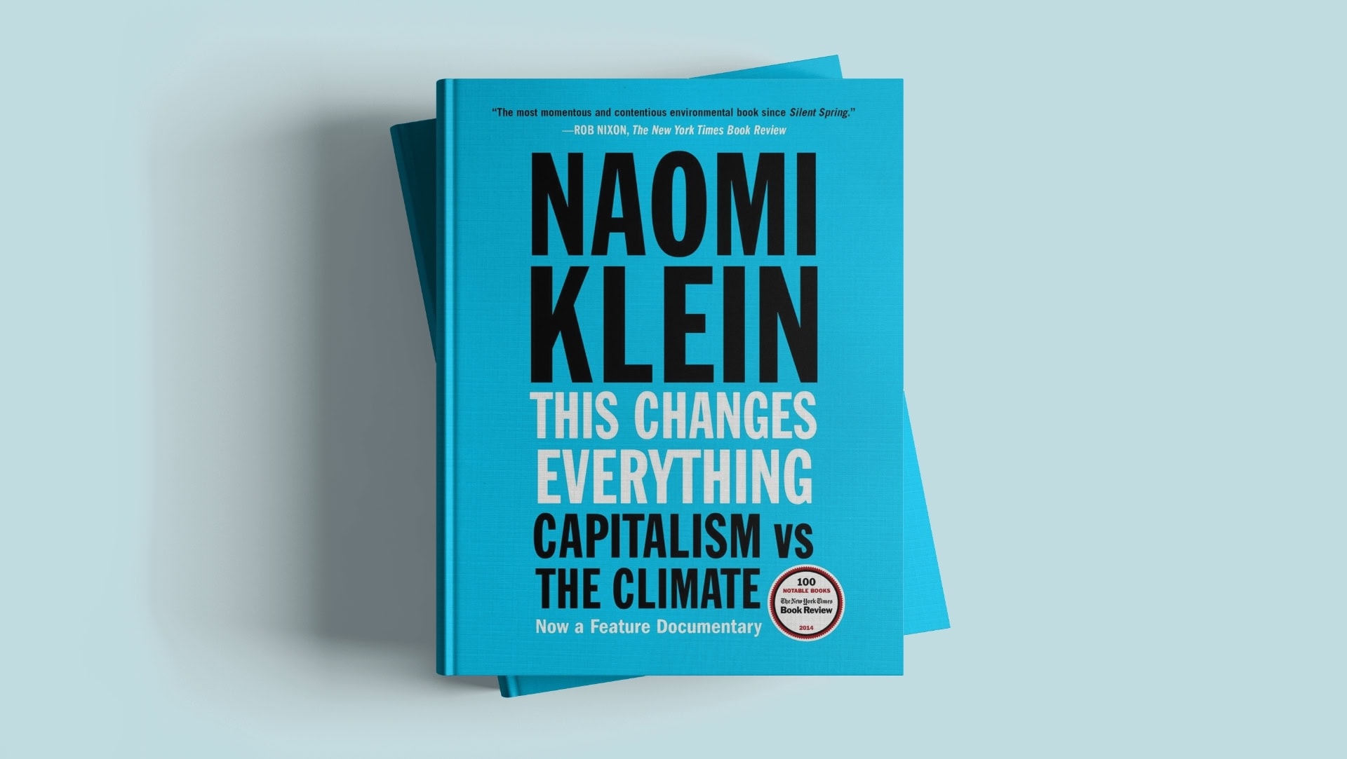 Image by This Changes Everything (sustainability-books)
