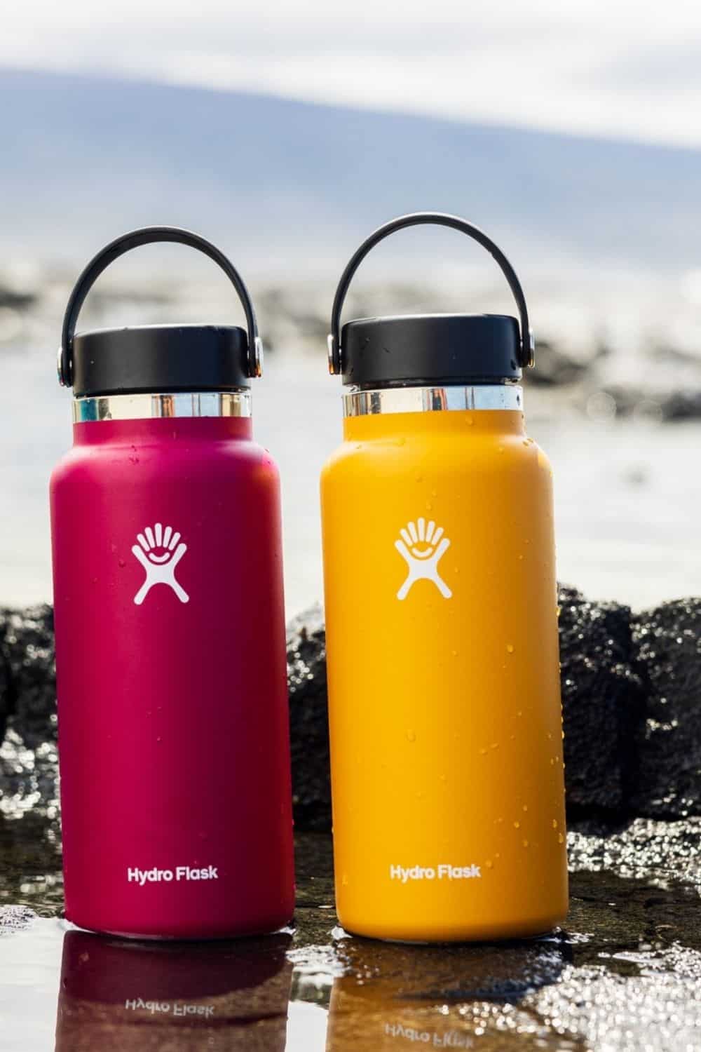 7 Plastic Free Water Bottles For ToxinFree H20