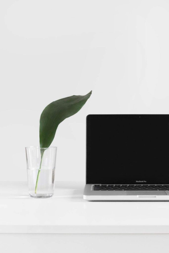 We depend on technology heavily, but how can we ensure our devices don't harm people or the natural environment? Cue: Sustainable technology… Image by Sarah Dorweiler via Unsplash #sustainabletechnology #ecofriendlytechnology #ethicaltechnology #sustainablejungle
