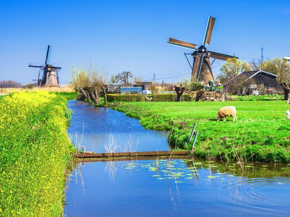 Sip, Sip Hooray: 11 Countries With The Cleanest Water In The World Image by Freeartist #cleanestwaterintheworld #bestwaterintheworld #cleanestdrinkingwaterintheworld #countrieswiththecleanestwater #purestwaterintheworld #sustainablejungle