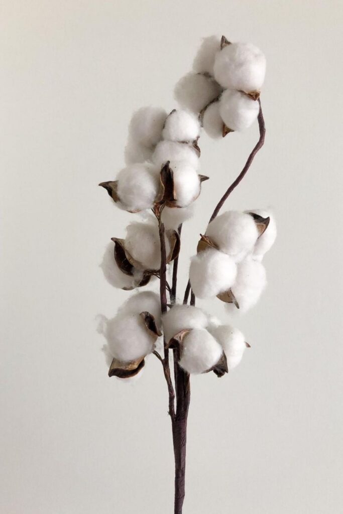 You may have seen the name ‘cupro’ popping up on clothing labels recently. So, what is cupro fabric? Is it as eco-friendly as they say, or is there a bit of fabric-ation going on? Image by Ranurte via Unsplash #whatiscuprofrabic #cupro #sustainablejungle