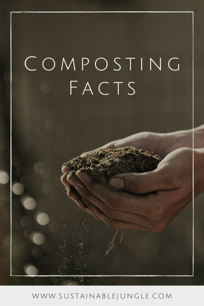 Need a little compost inspo? we’ve (de)composed this list of composting facts that will put you in the mood for composting food… Image by Gabriel Jimenez via Unsplash #compostingfacts #funfactsaboutcomposting #interestingfactsaboutcomposting #importantfactsaboutcomposting #coolfactsaboutcomposting #compostingfactsforkids #sustainablejungle